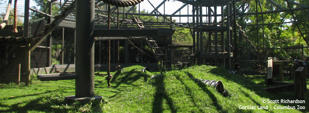 Gorillas Land | Columbus Zoo and Aquarium